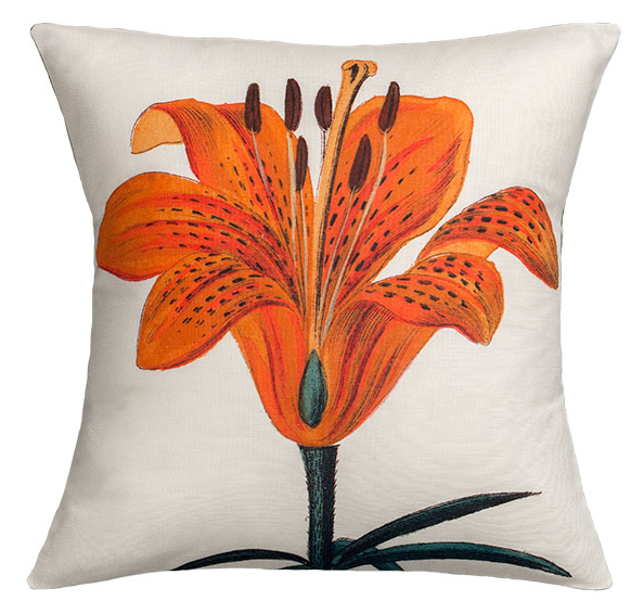 web-orange-lily.jpg