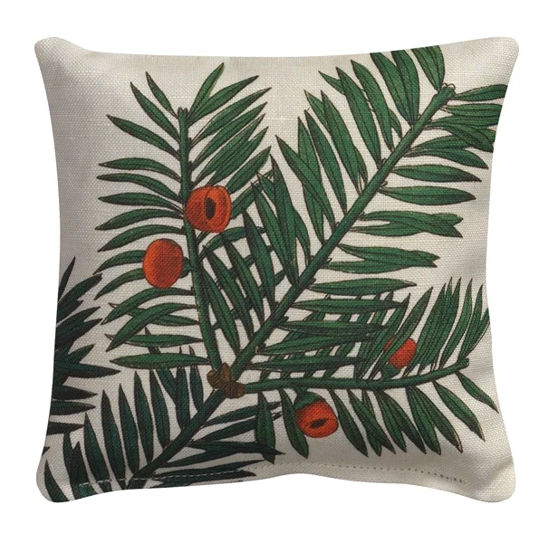 conifer1_0.jpg