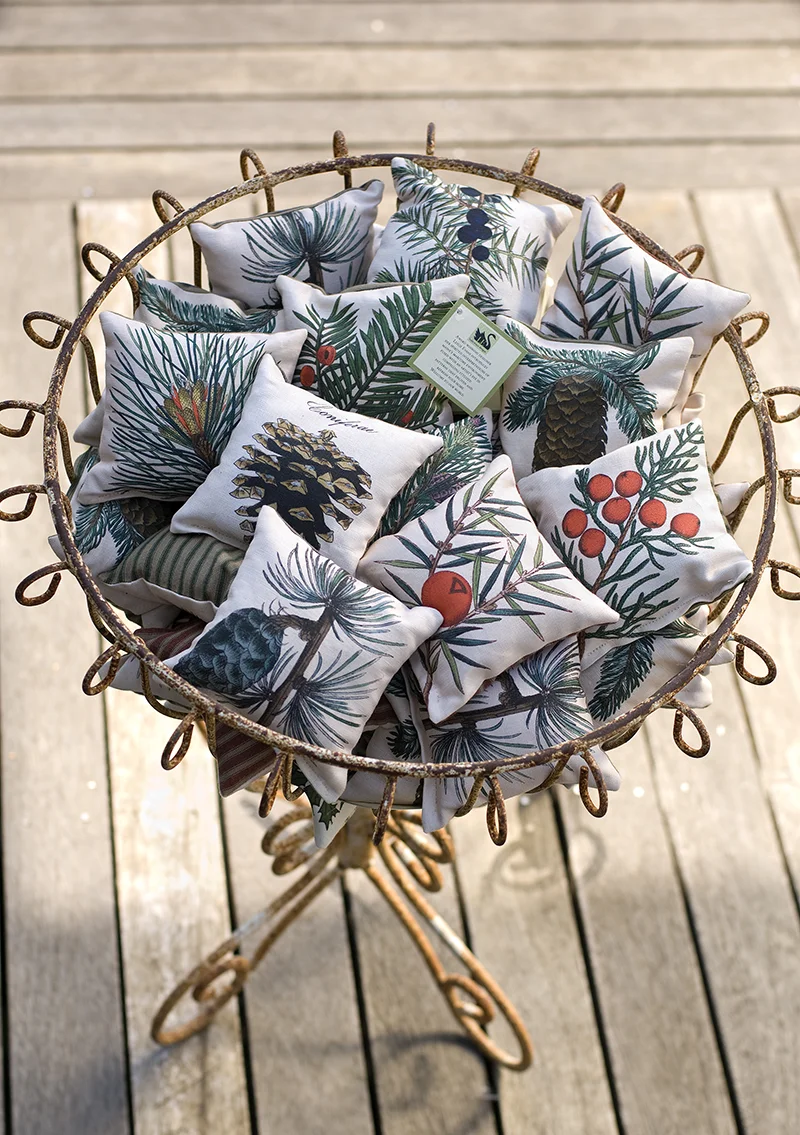 CONIFERS IN BASKET.jpg