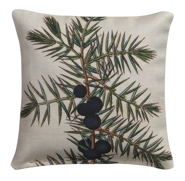 conifer5_1.jpg