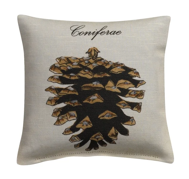 conifer9_0.jpg