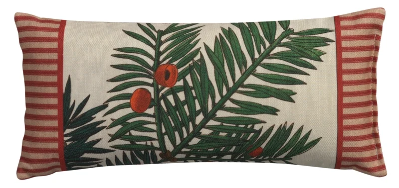 conifer1_1.jpg