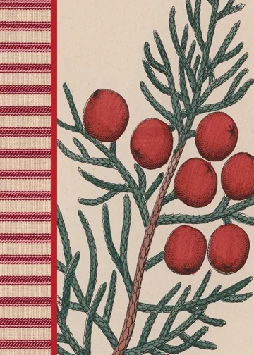21327-LEDA-Conifer-Cards-PDF_Page_7.jpg