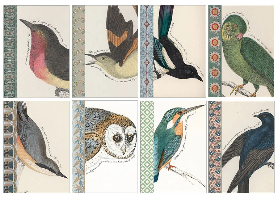 BIRDCARDS.jpg