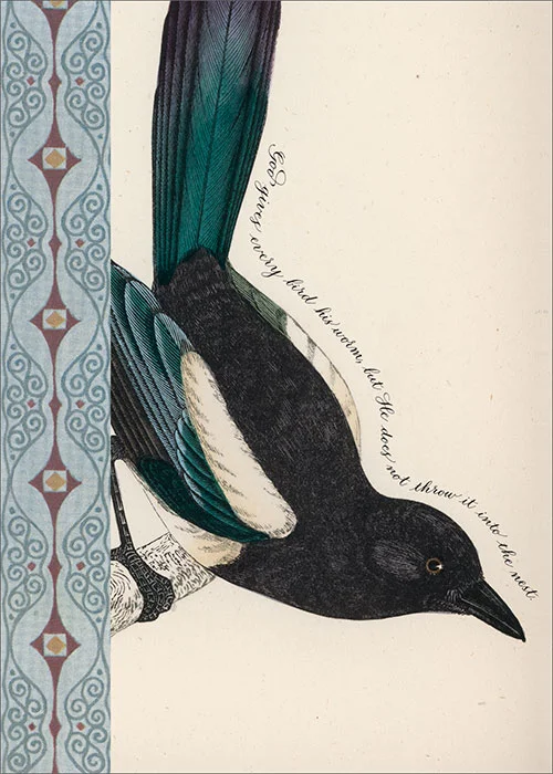 BIRD-21337.jpg