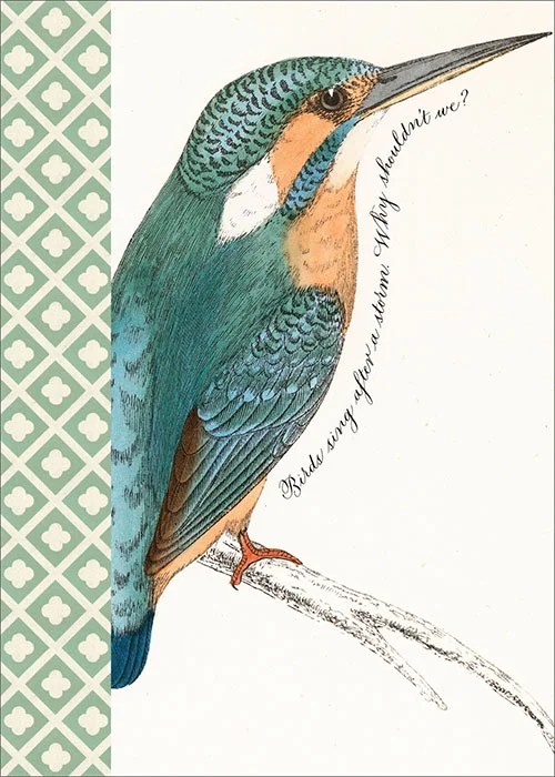 BIRD-21338.jpg