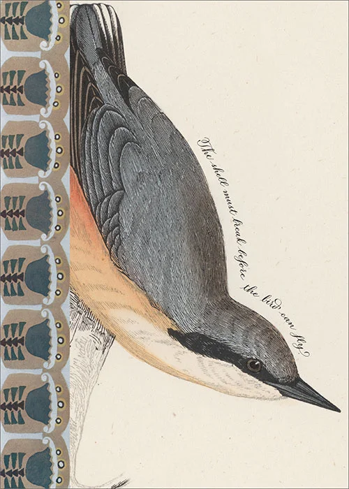 BIRD-21339.jpg