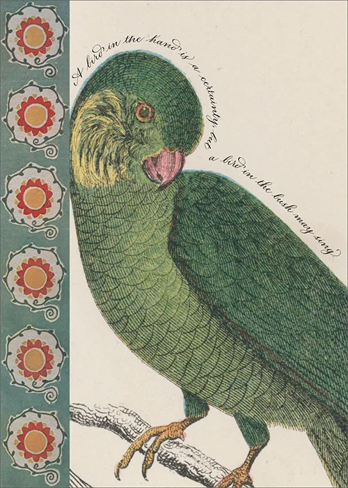 BIRD-21340.jpg