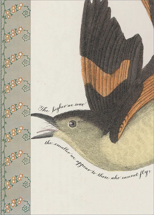 BIRD-21341.jpg
