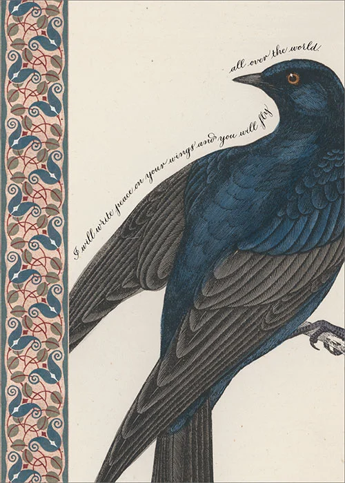 BIRD-21342.jpg