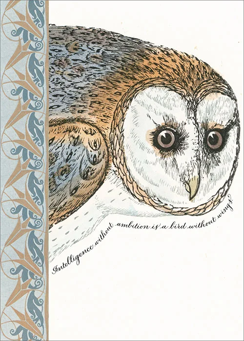 BIRD-21344.jpg