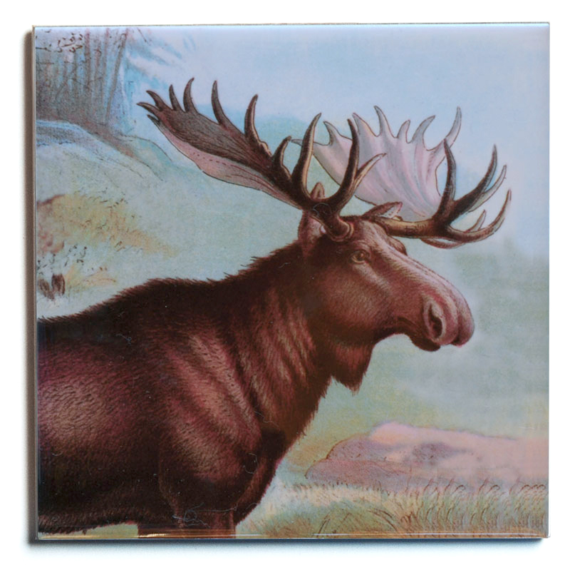 MOOSETRIVET1.jpg