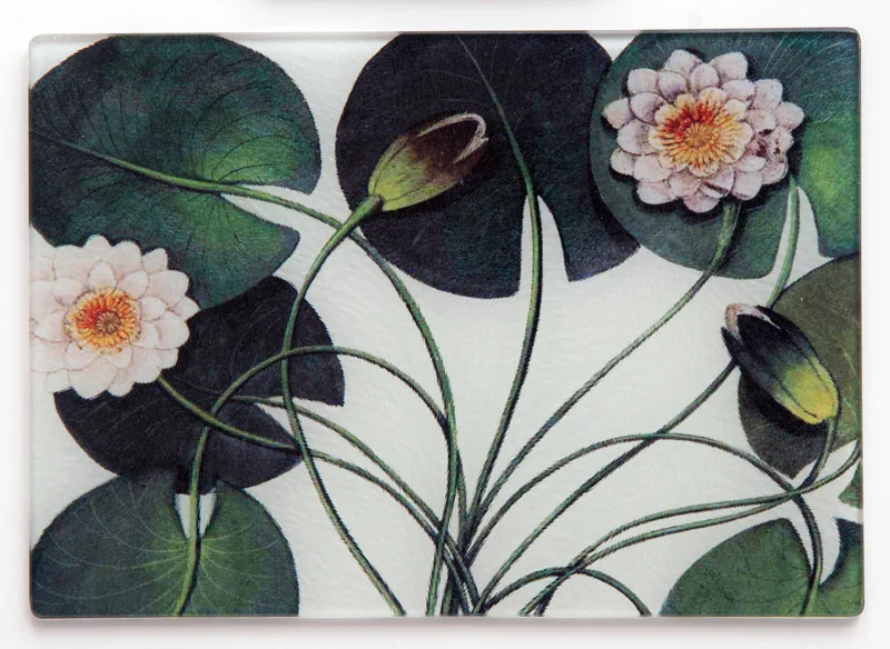 PARISIAN-WATER-LILY-CUTTING.jpg