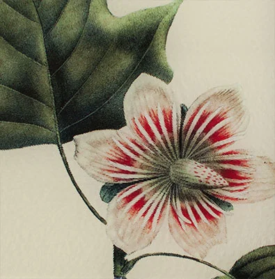 STRIPED-FLOWER-DETAIL-CUTTING.jpg