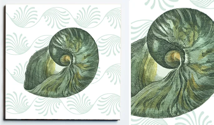 32107 WEB SS SHELL 4 TRIVET .jpg