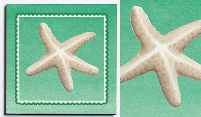 32098-WEB-SS-WHITE-STARFISH-TRIVET-.jpg