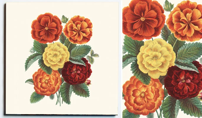 32100-WEB-SS-CINQUEFOIL-TRIVET-.jpg