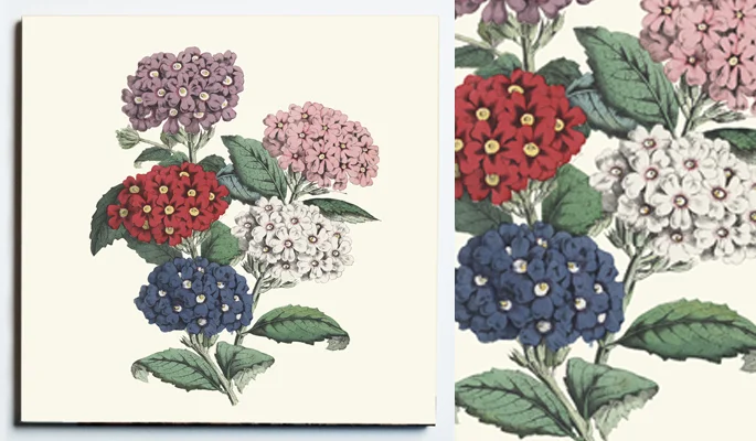 32102 WEB SS PRIMROSE TRIVET .jpg