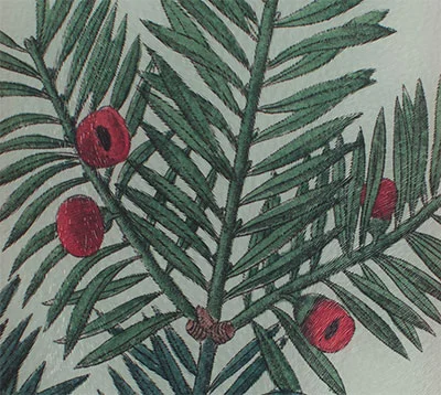 RED-BERRY-DETAIL-CUTTING.jpg