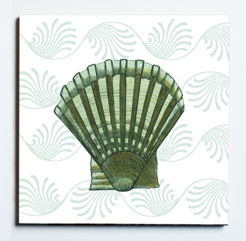 32104 SHELL 1 MASKED.jpg