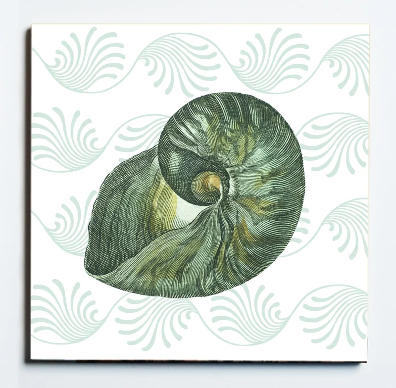 32107 SHELL 4 TRIVET MASKED.jpg