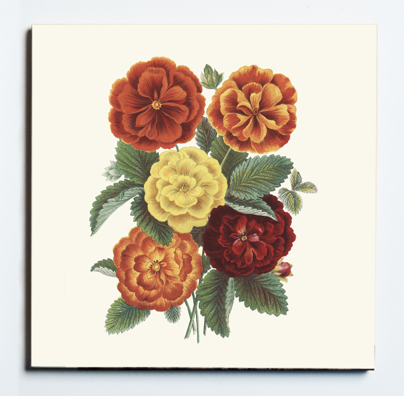 32100 CINQUEFOIL TIRVET MASKED.jpg