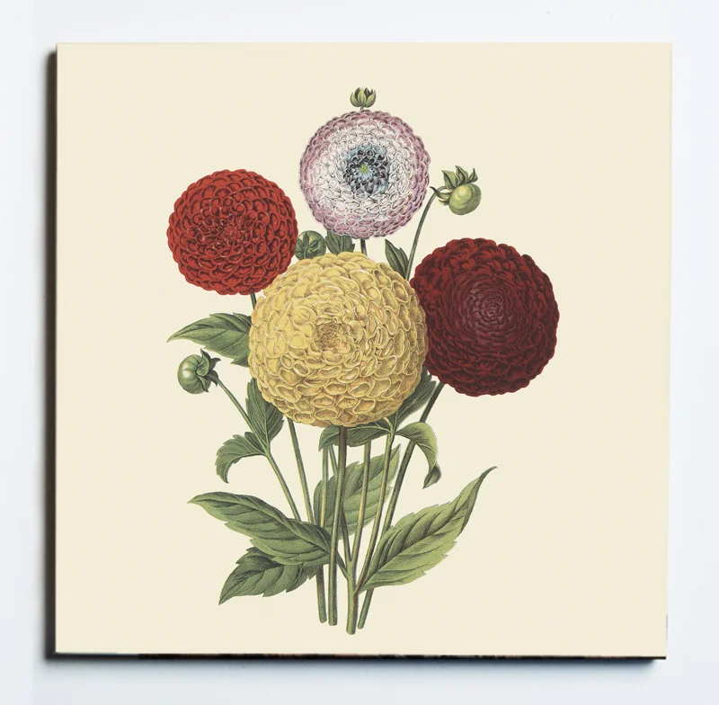 32101 DAHLIAS TRIVET MASKED.jpg
