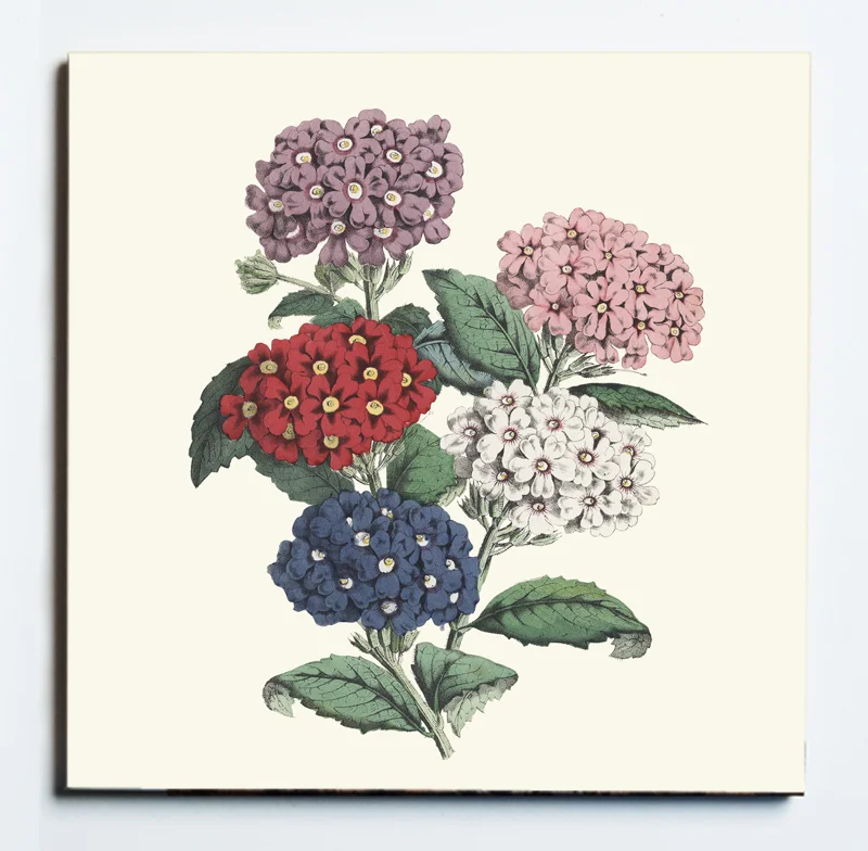 32102 PRIMROSE TRIVET MASKED.jpg