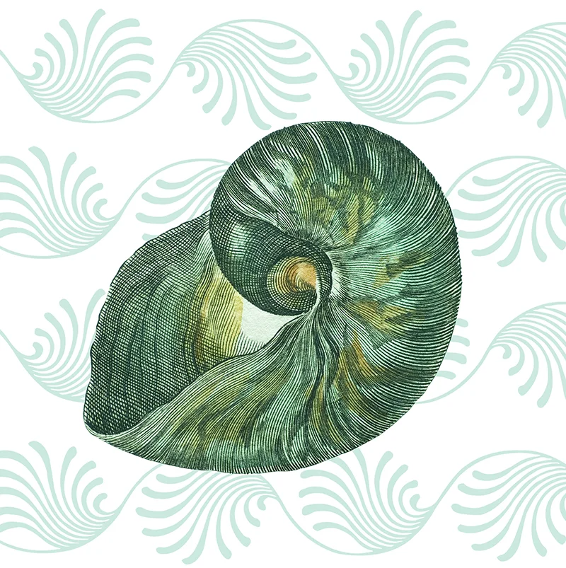 27072 WEB GREEN SHELL 4  PILLOW.jpg