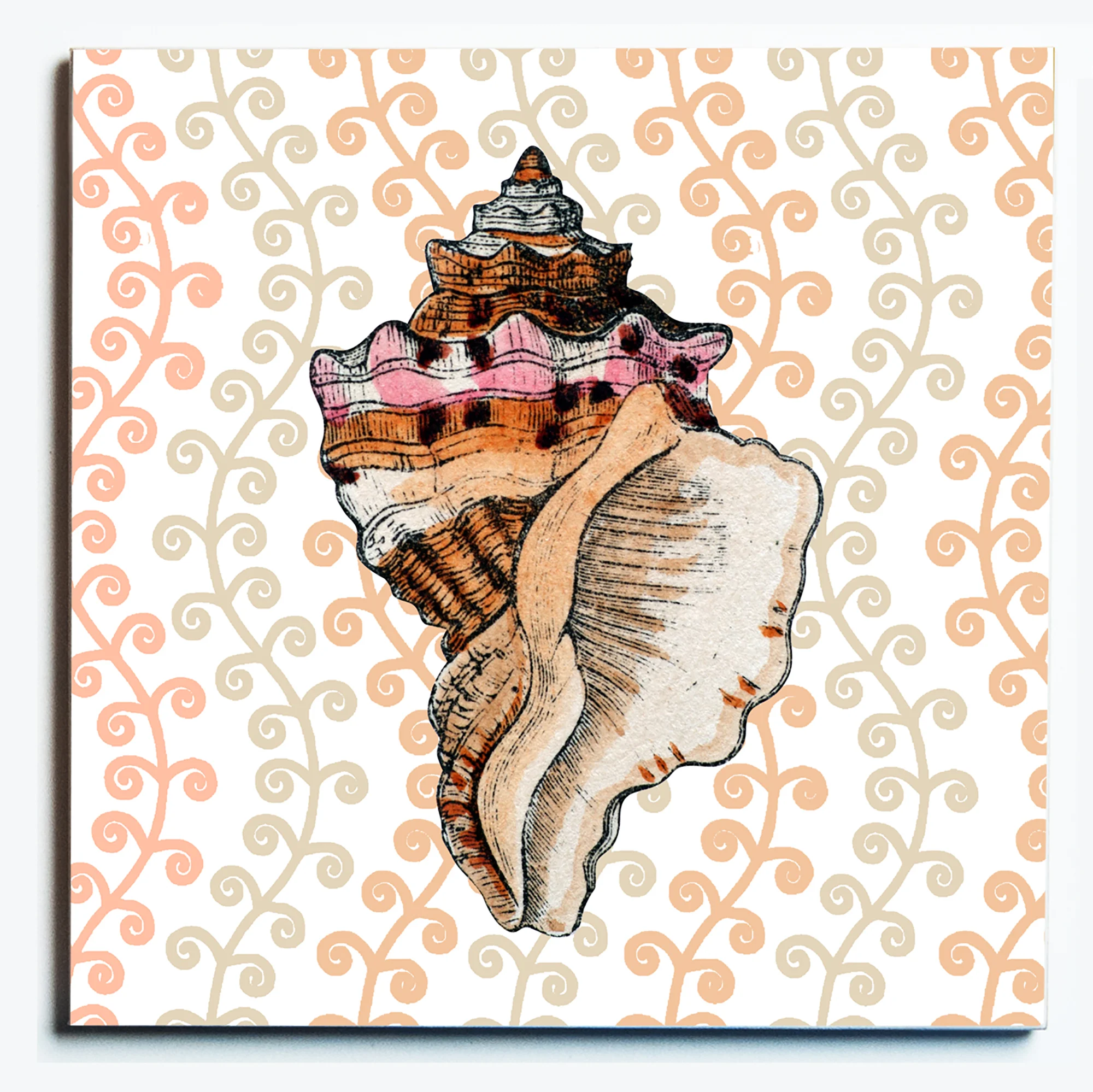 32121 PINK CONCH TRIVET.jpg