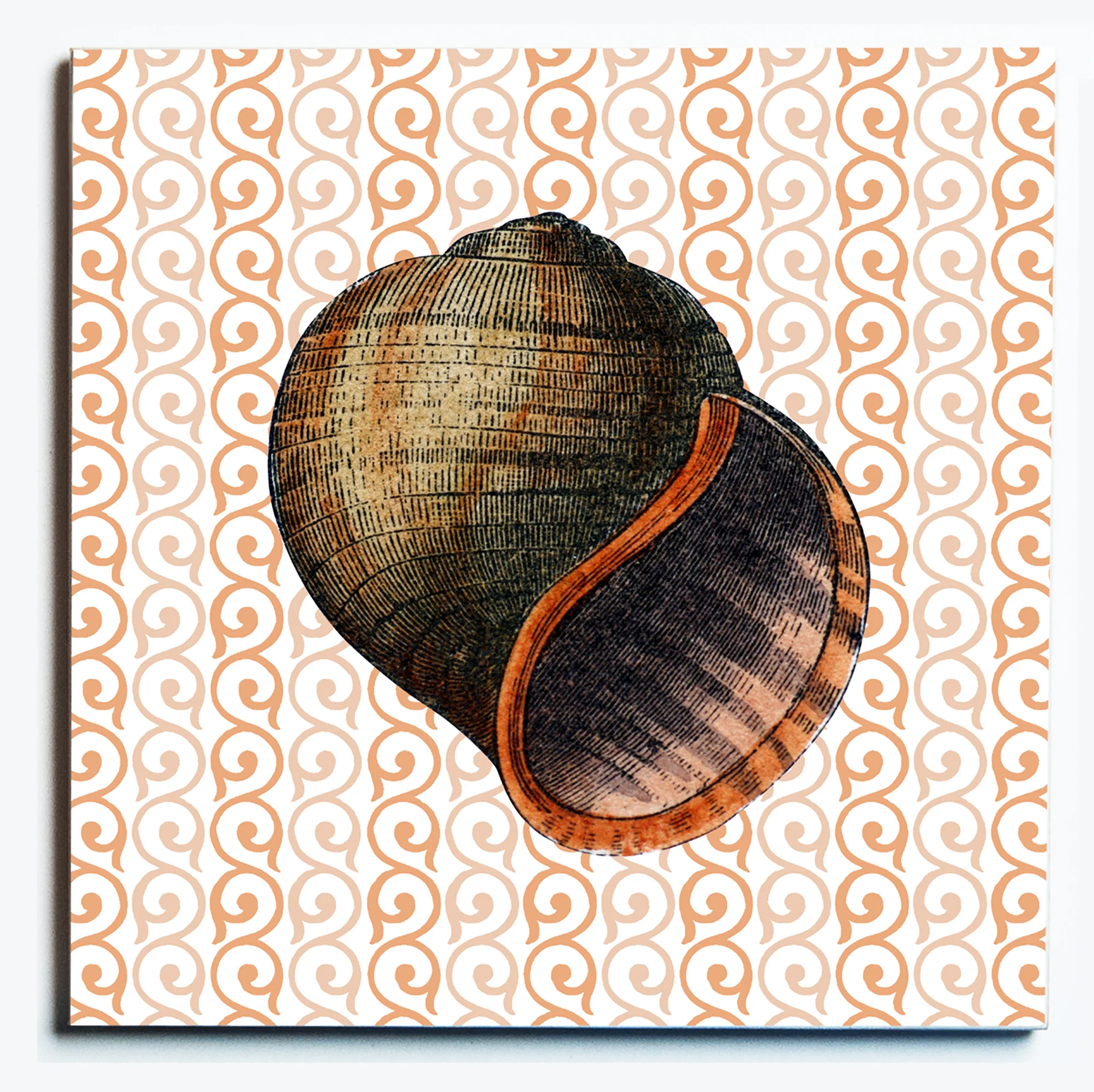 32123 MOONSHELL TRIVET.jpg