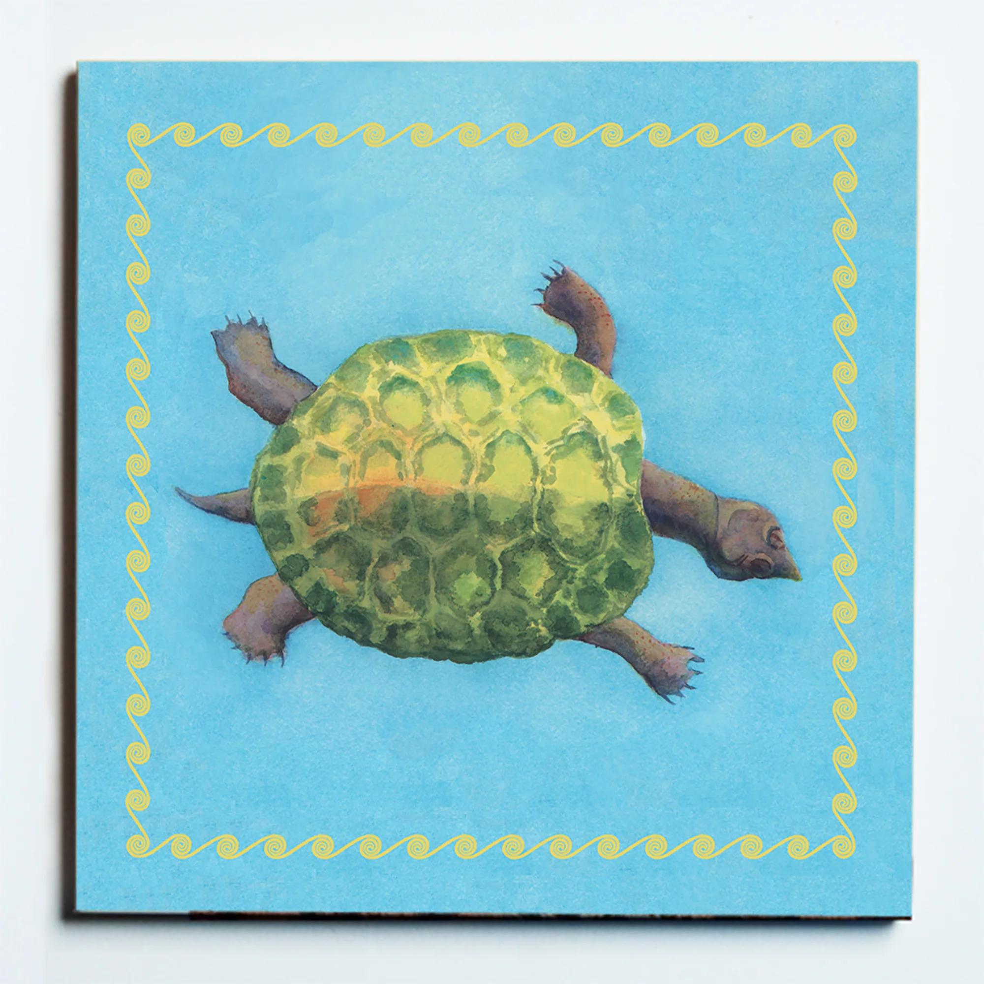 32126 GREEN TURTLE MASKED.jpg