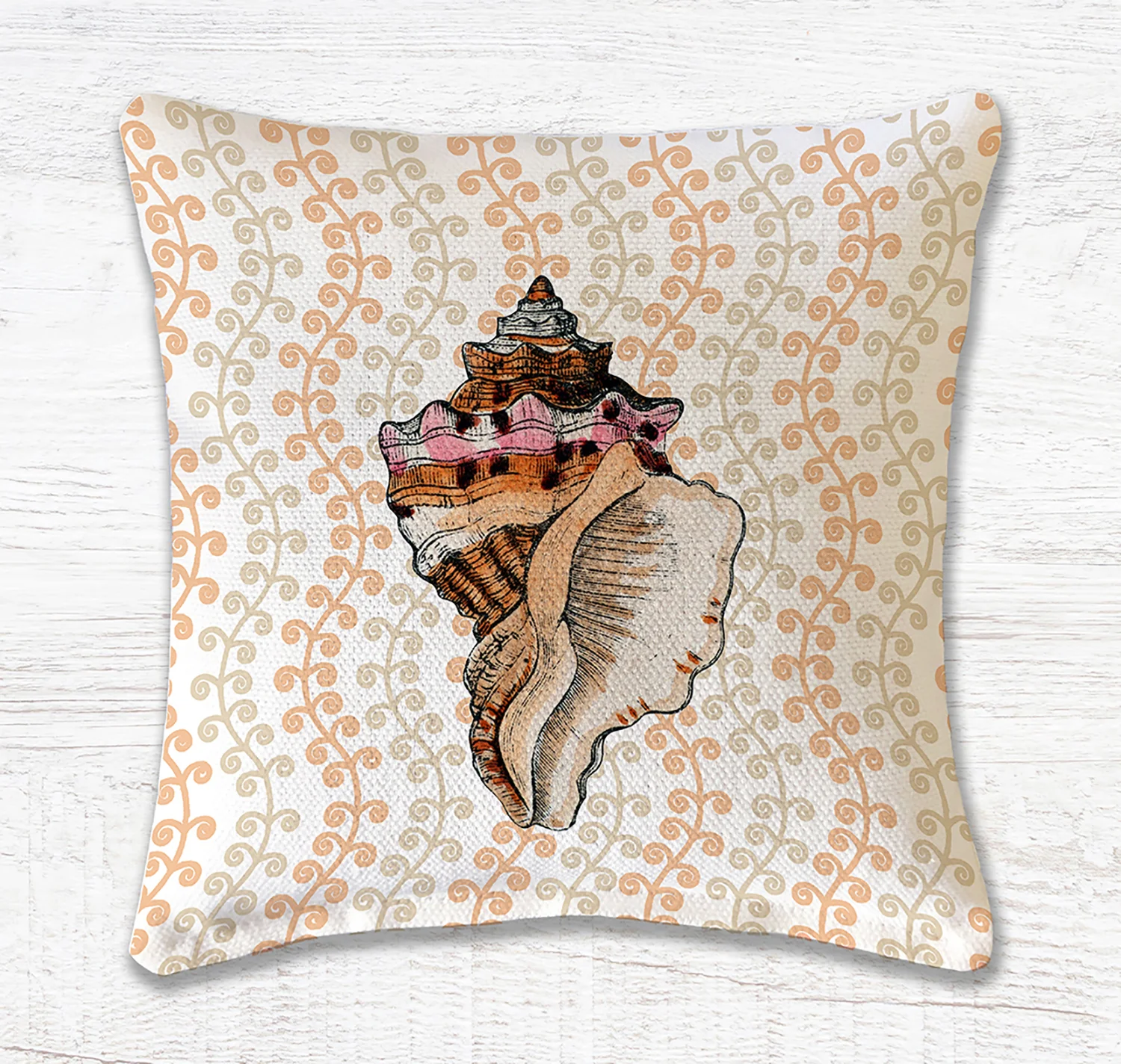 23611 CONCH WEB .jpg