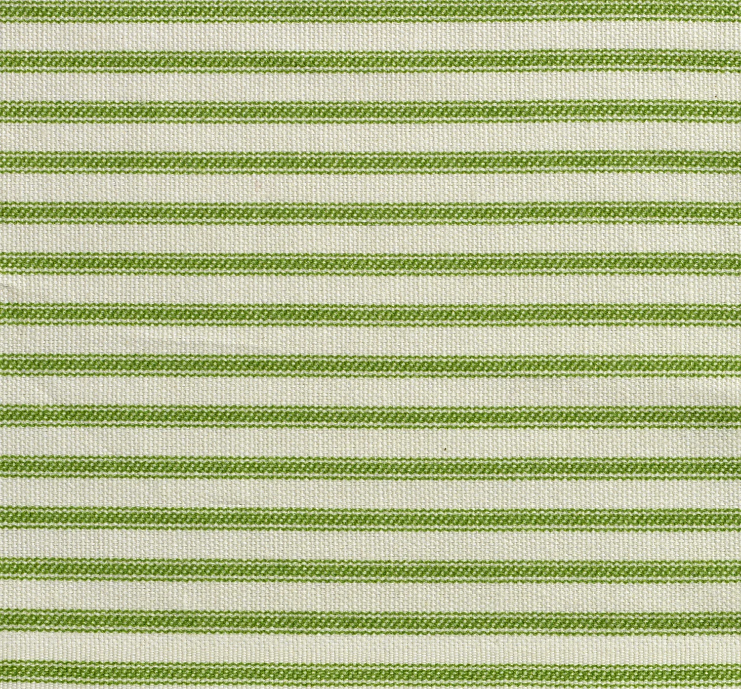 KIWI TICKING WEB .jpg