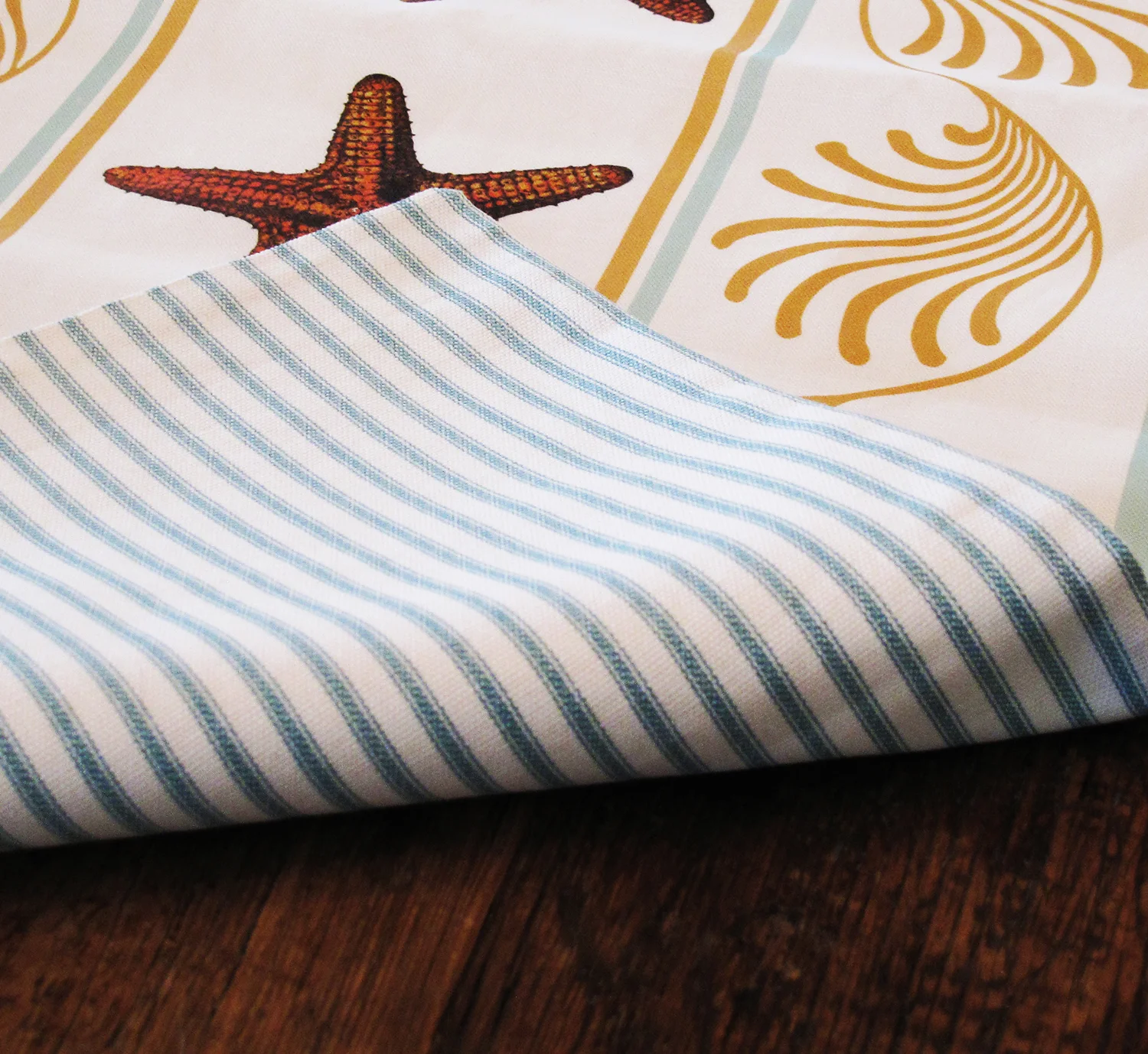 Leslie Evans - 30036 ORANGE STARFISH EDIT 4 ETSY.jpg