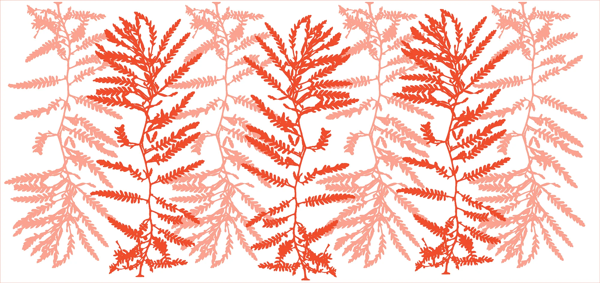 30054 CORL SEA FERN RUNNERWEB.jpg