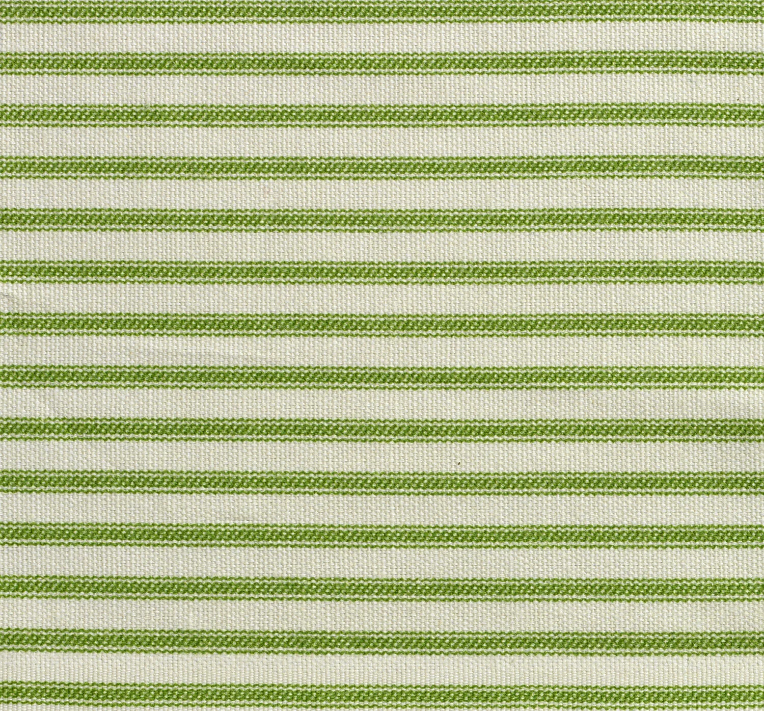 KIWI TICKING WEB .jpg