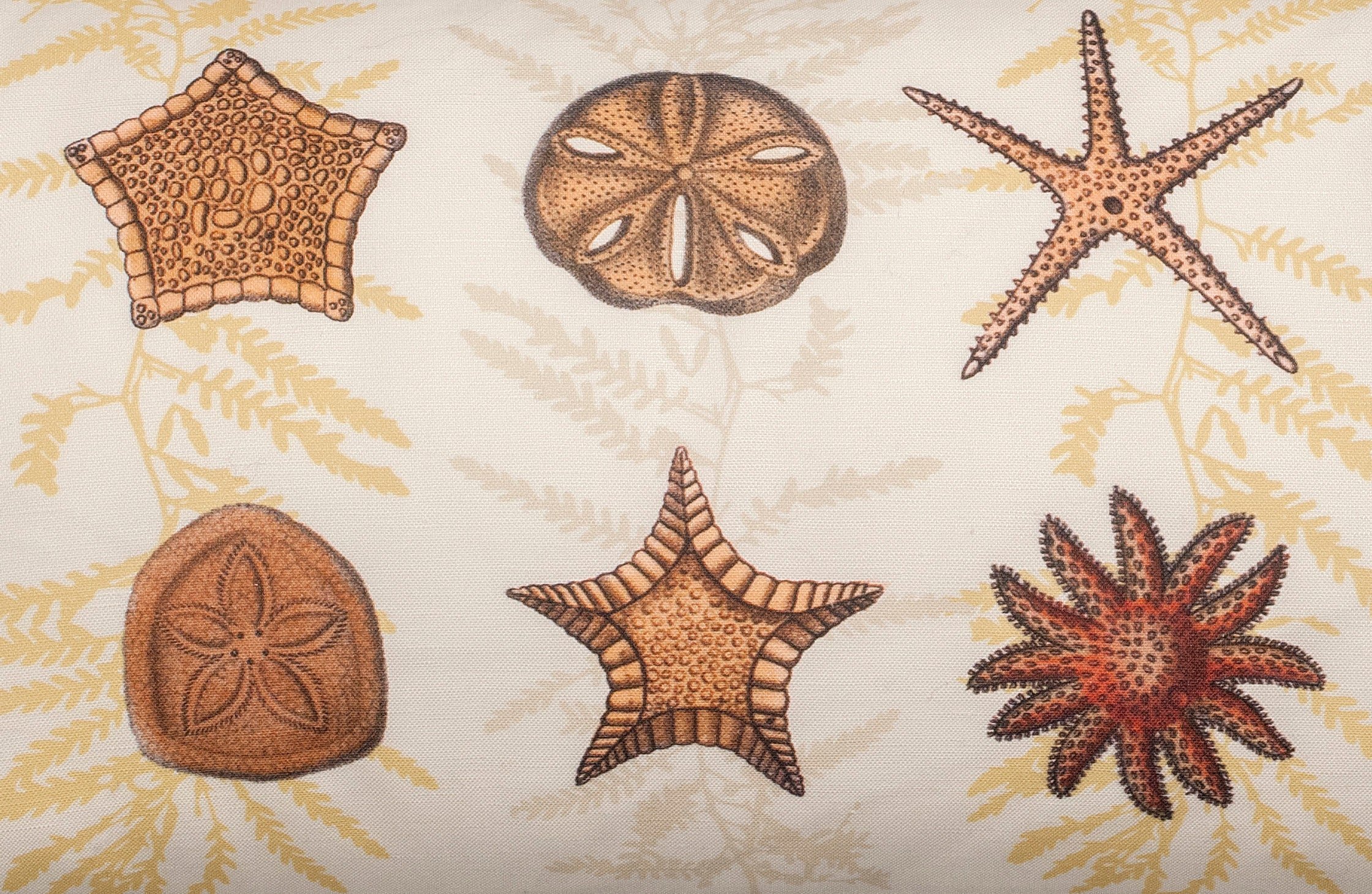 https://i.etsystatic.com/7361774/r/il/a8240a/1472744596/il_fullxfull.1472744596_eof5.jpg