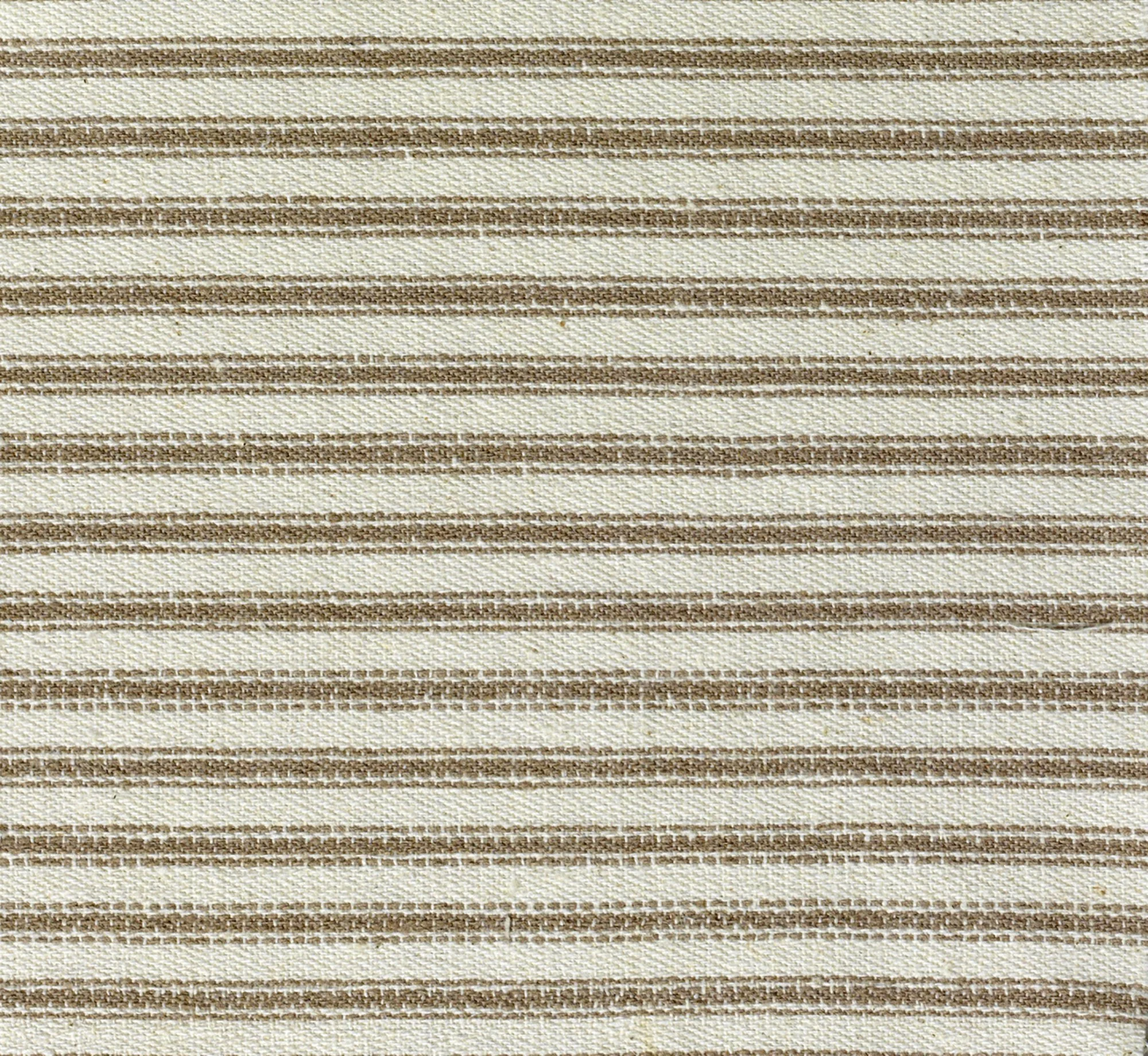 TAUPE TICKING.jpg