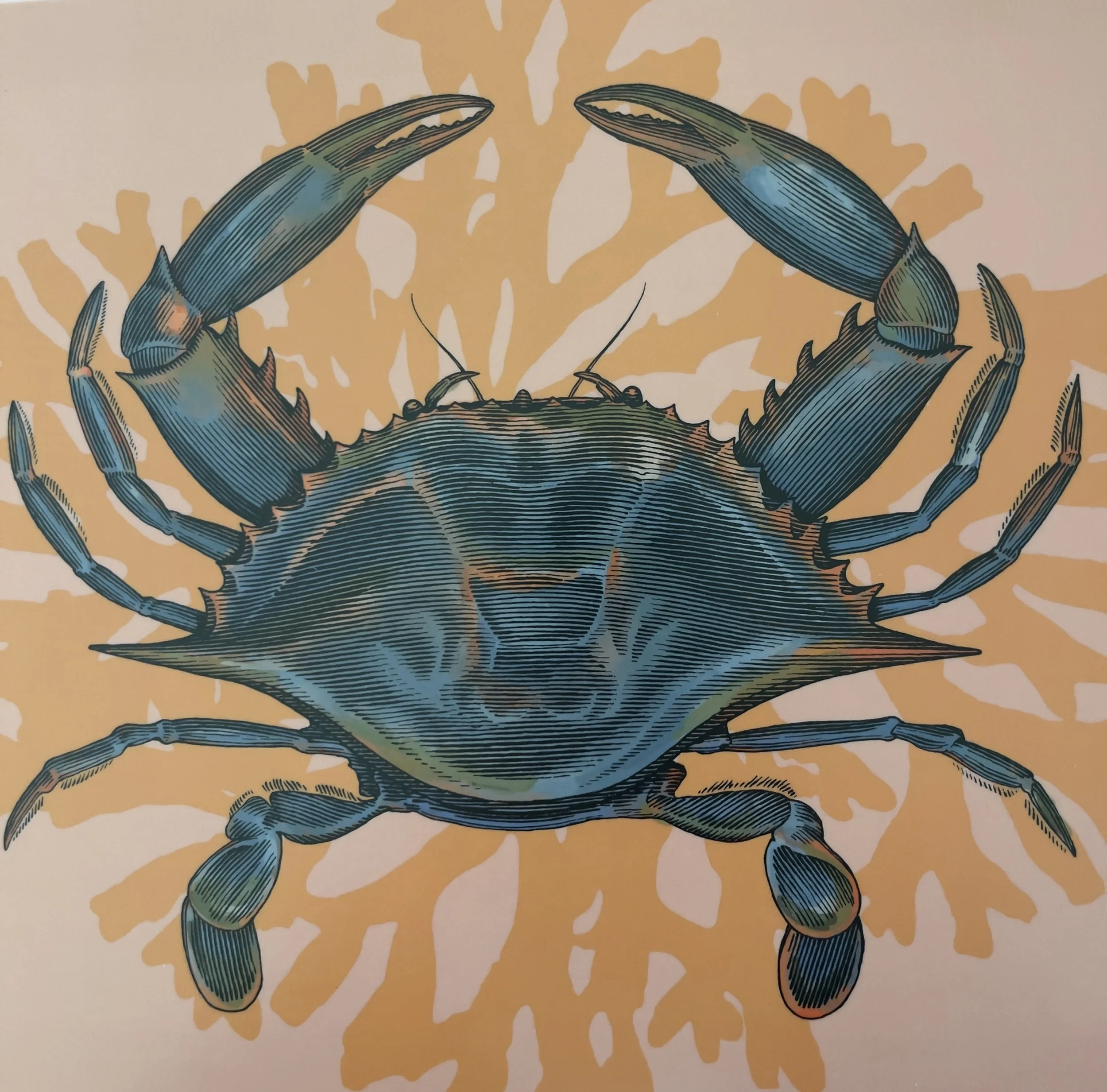 BLUE CRAB 3 WEB.jpg