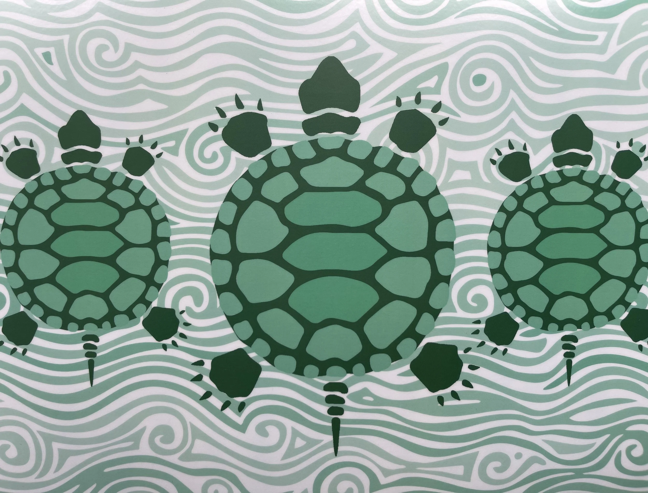 TURTLE 3 WEB.jpg