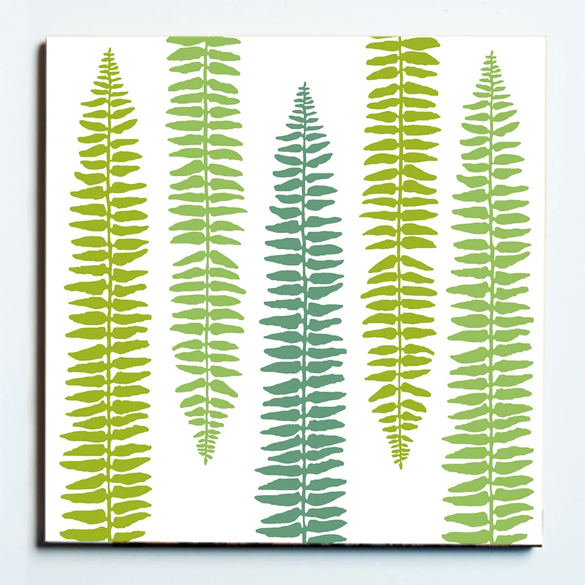 32141 SPINDLY FERN copy.jpg