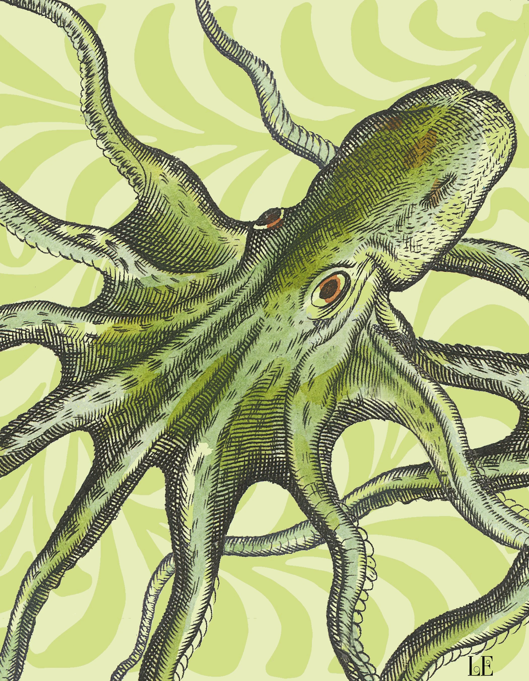 14x18 OCTOPUS  copy.jpg