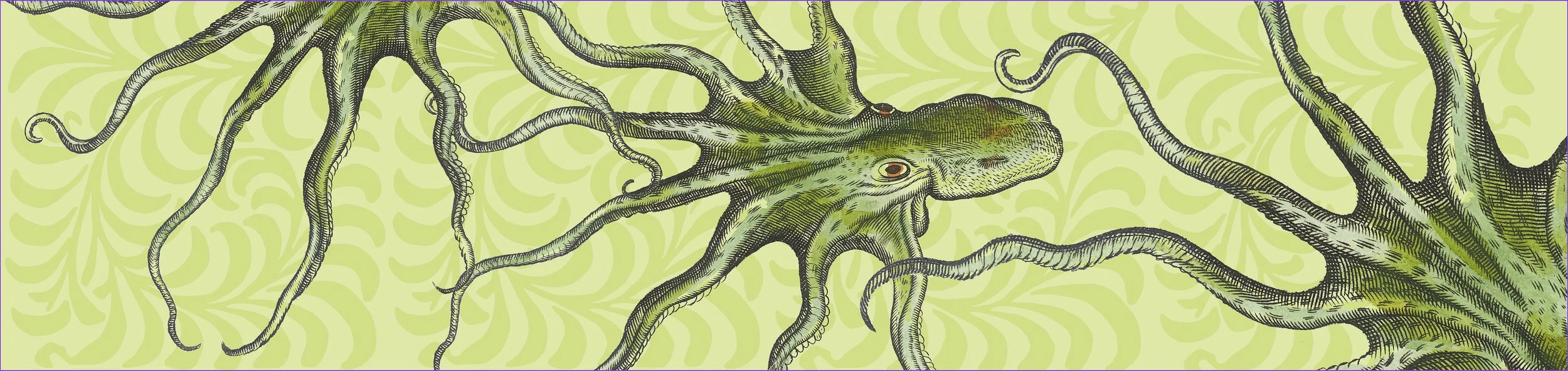 24586 Octopus Runner sm.jpg