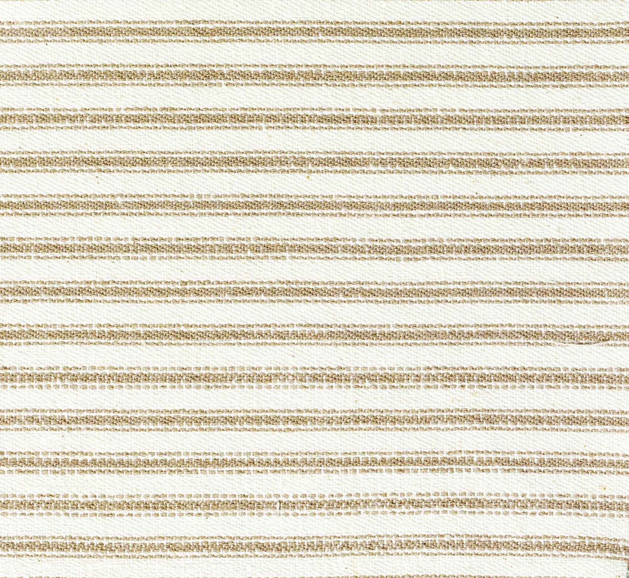 TAUPE TICKING.jpg