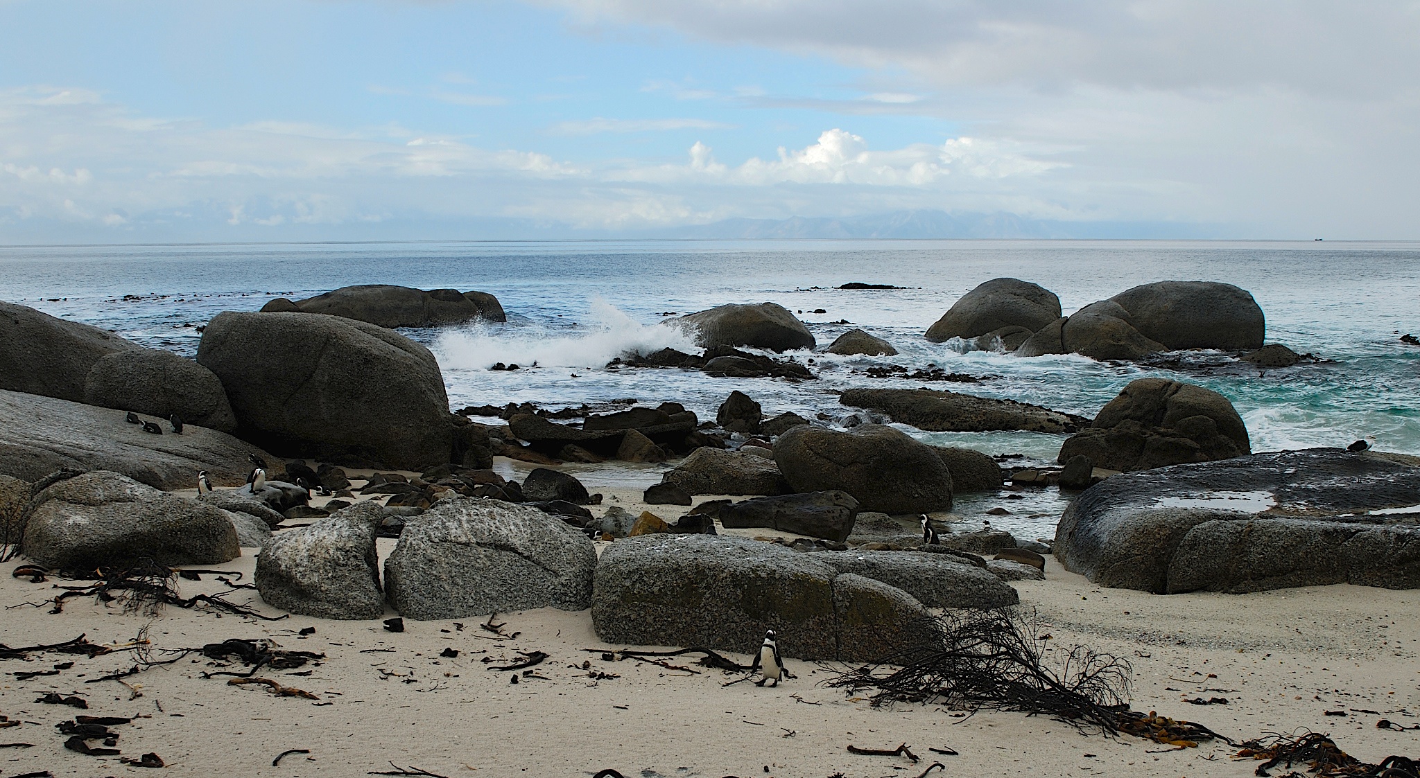 DSC_00760391.jpg