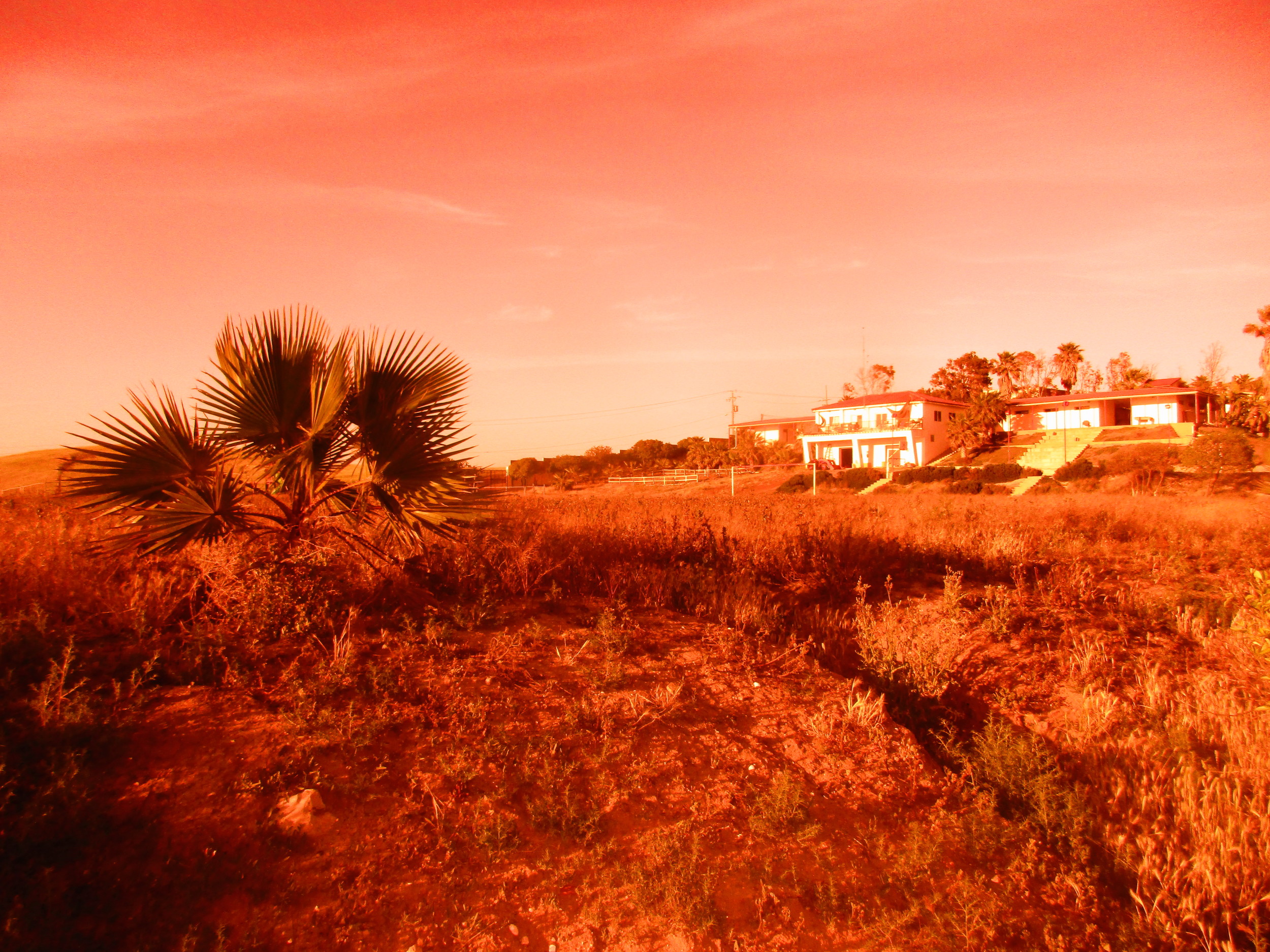 Zika Virus Travel Alert