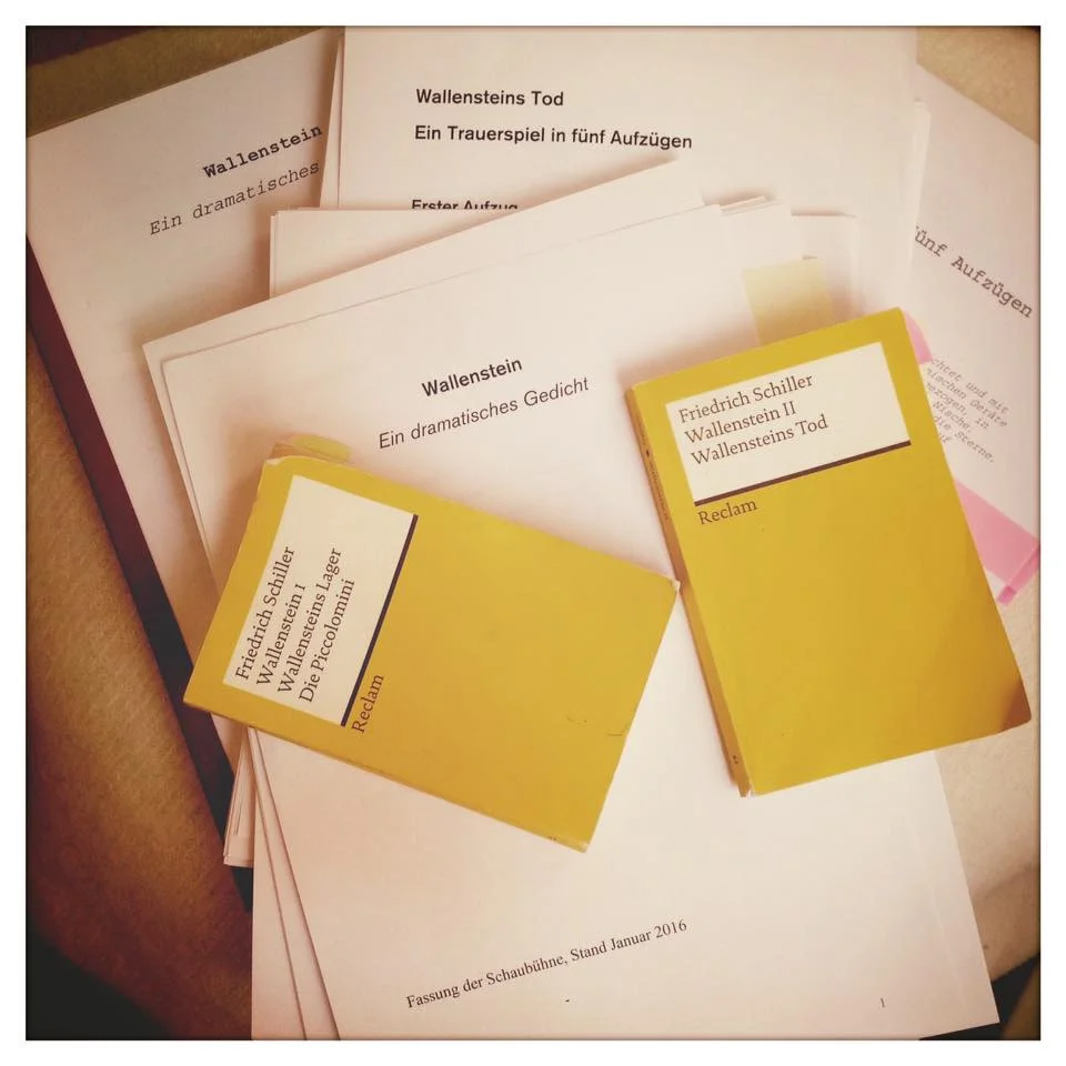  For more information please visit: www.schaubuehne.de