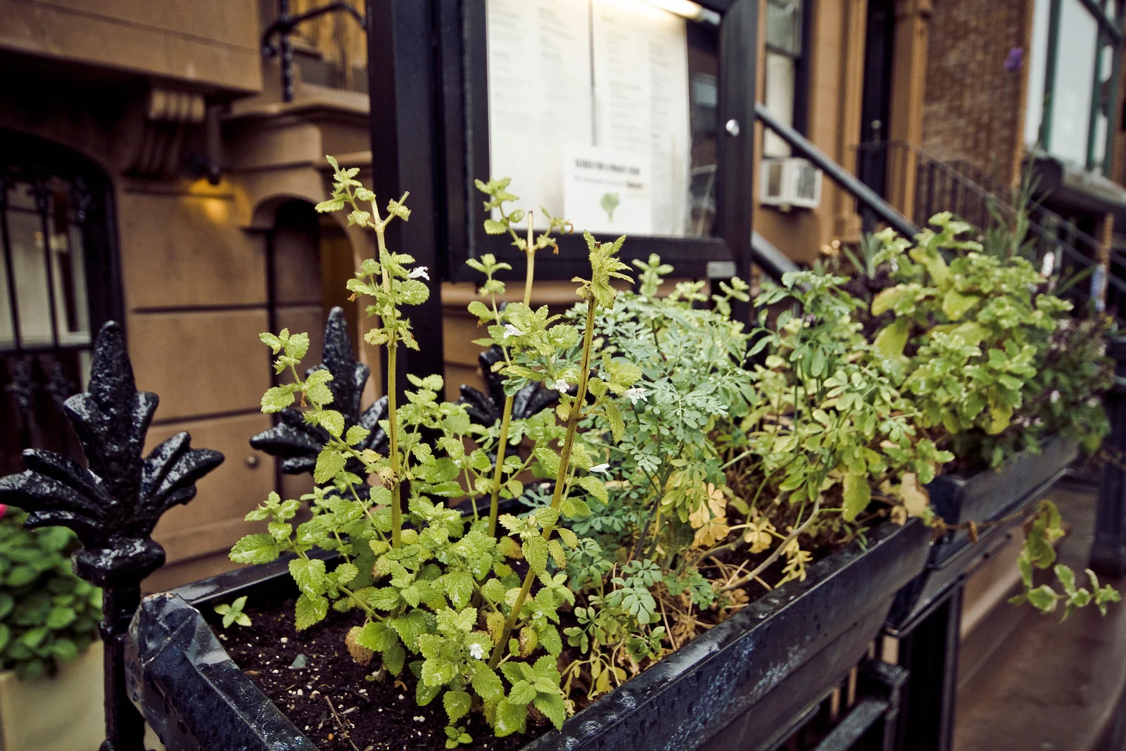      

 
  beIMAGED Wedding Photography
 






















     