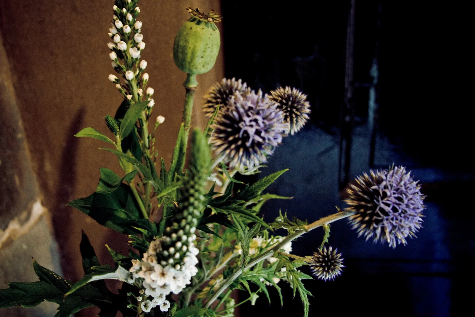      

 
  beIMAGED Wedding Photography
 






















     